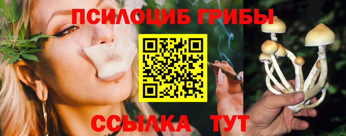 Галлюциногенные грибы Psilocybe Тавда