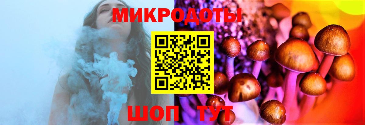 Псилоцибиновые грибы Magic Shrooms  сколько стоит  Вход с VPN  Тавда  Псилоцибиновые грибы Psilocybine cubensis 